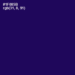 #1F085B - Tolopea Color Image