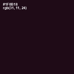 #1F0B18 - Night Rider Color Image