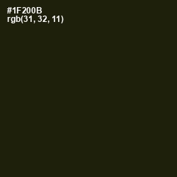 #1F200B - Deep Forest Green Color Image