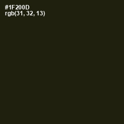 #1F200D - Deep Forest Green Color Image