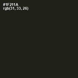 #1F211A - Seaweed Color Image