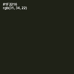 #1F2216 - Seaweed Color Image