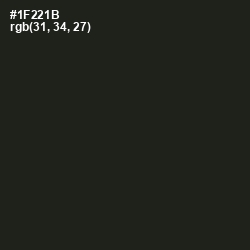#1F221B - Seaweed Color Image