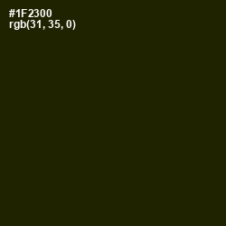 #1F2300 - Deep Forest Green Color Image