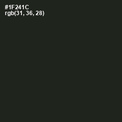 #1F241C - Seaweed Color Image