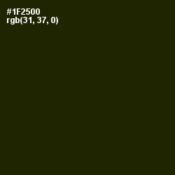 #1F2500 - Deep Forest Green Color Image