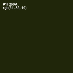 #1F260A - Deep Forest Green Color Image