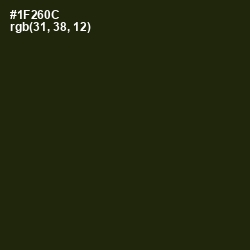#1F260C - Deep Forest Green Color Image