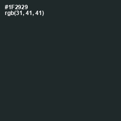 #1F2929 - Timber Green Color Image