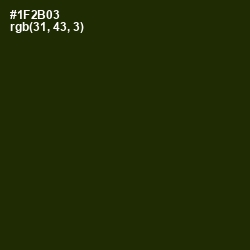 #1F2B03 - Deep Forest Green Color Image