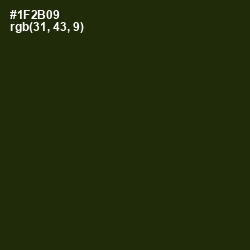 #1F2B09 - Deep Forest Green Color Image