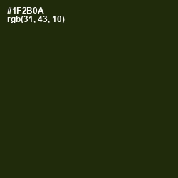 #1F2B0A - Deep Forest Green Color Image