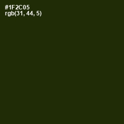 #1F2C05 - Deep Forest Green Color Image