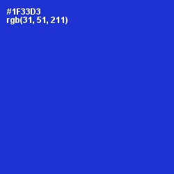 #1F33D3 - Dark Blue Color Image