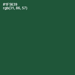 #1F5639 - Te Papa Green Color Image