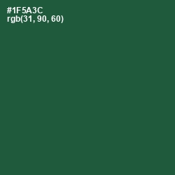 #1F5A3C - Te Papa Green Color Image