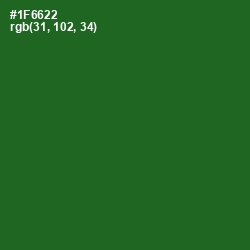 #1F6622 - Fun Green Color Image