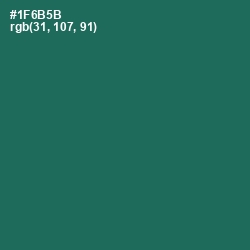 #1F6B5B - Watercourse Color Image