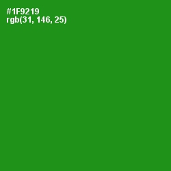 #1F9219 - Forest Green Color Image