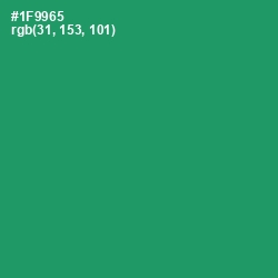 #1F9965 - Elf Green Color Image