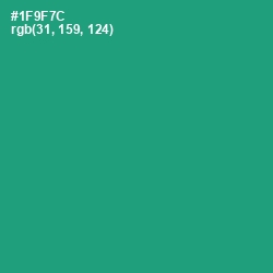 #1F9F7C - Elf Green Color Image