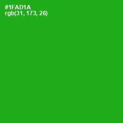 #1FAD1A - Forest Green Color Image