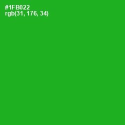 #1FB022 - Forest Green Color Image