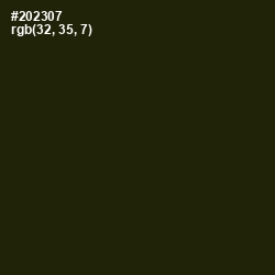 #202307 - Onion Color Image