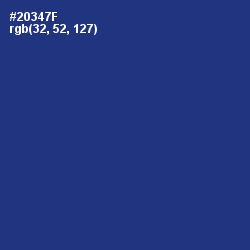 #20347F - Astronaut Color Image