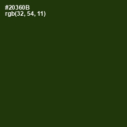 #20360B - Turtle Green Color Image