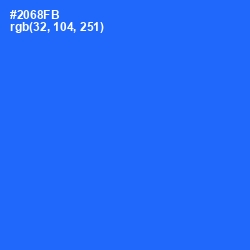 #2068FB - Blue Ribbon Color Image