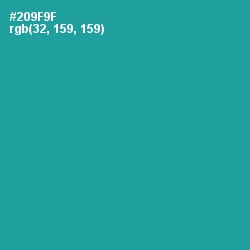#209F9F - Lochinvar Color Image