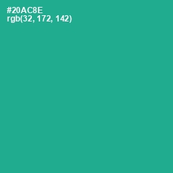 #20AC8E - Jungle Green Color Image