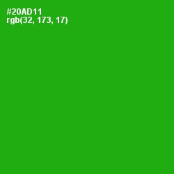 #20AD11 - Forest Green Color Image