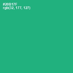 #20B17F - Jade Color Image