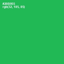 #20B955 - Jade Color Image