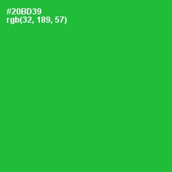 #20BD39 - Forest Green Color Image