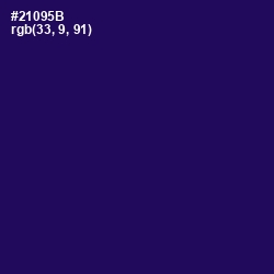 #21095B - Violent Violet Color Image