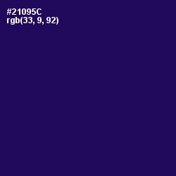 #21095C - Violent Violet Color Image