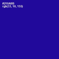 #210A9B - Blue Gem Color Image