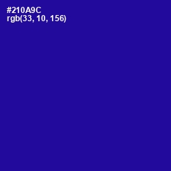 #210A9C - Blue Gem Color Image