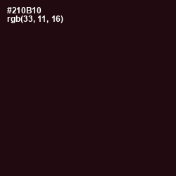 #210B10 - Gondola Color Image