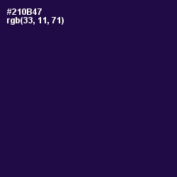 #210B47 - Violet Color Image