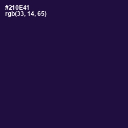 #210E41 - Violet Color Image