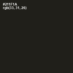 #211F1A - Oil Color Image