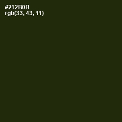 #212B0B - Onion Color Image