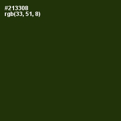 #213308 - Turtle Green Color Image
