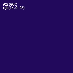 #22095C - Violent Violet Color Image
