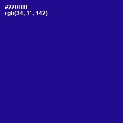 #220B8E - Blue Gem Color Image