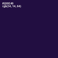#220E40 - Violet Color Image